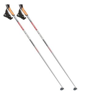 Tekaške Palice Rex ASTRA